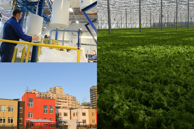 Долгосрочный прогноз развития региона вынесен на обсуждение ленинградцев