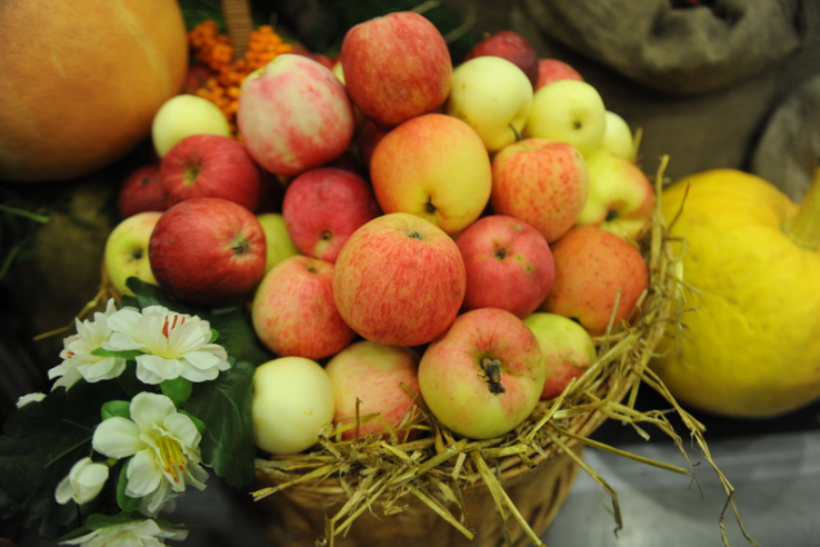 Овощи и фрукты переработают в Ленинградской области