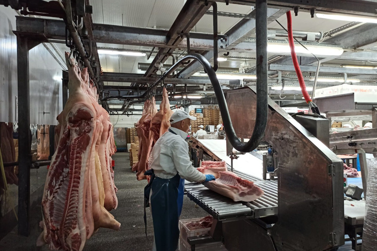 НАЦПРОЕКТЫ: в Тосно ускорена мясопереработка